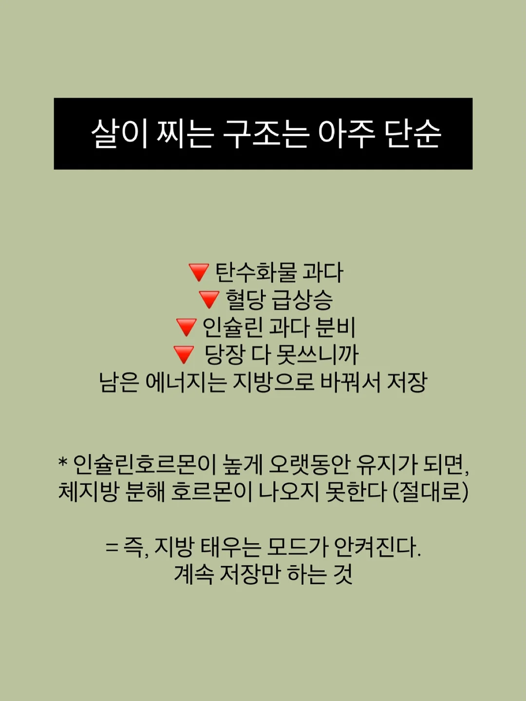청도 감성 캠프닉 당일 이용권 9