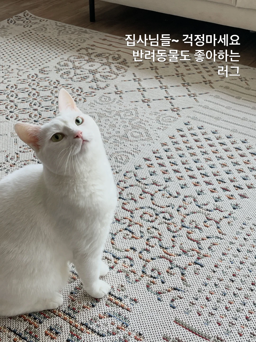 파자마 3종 세트 3