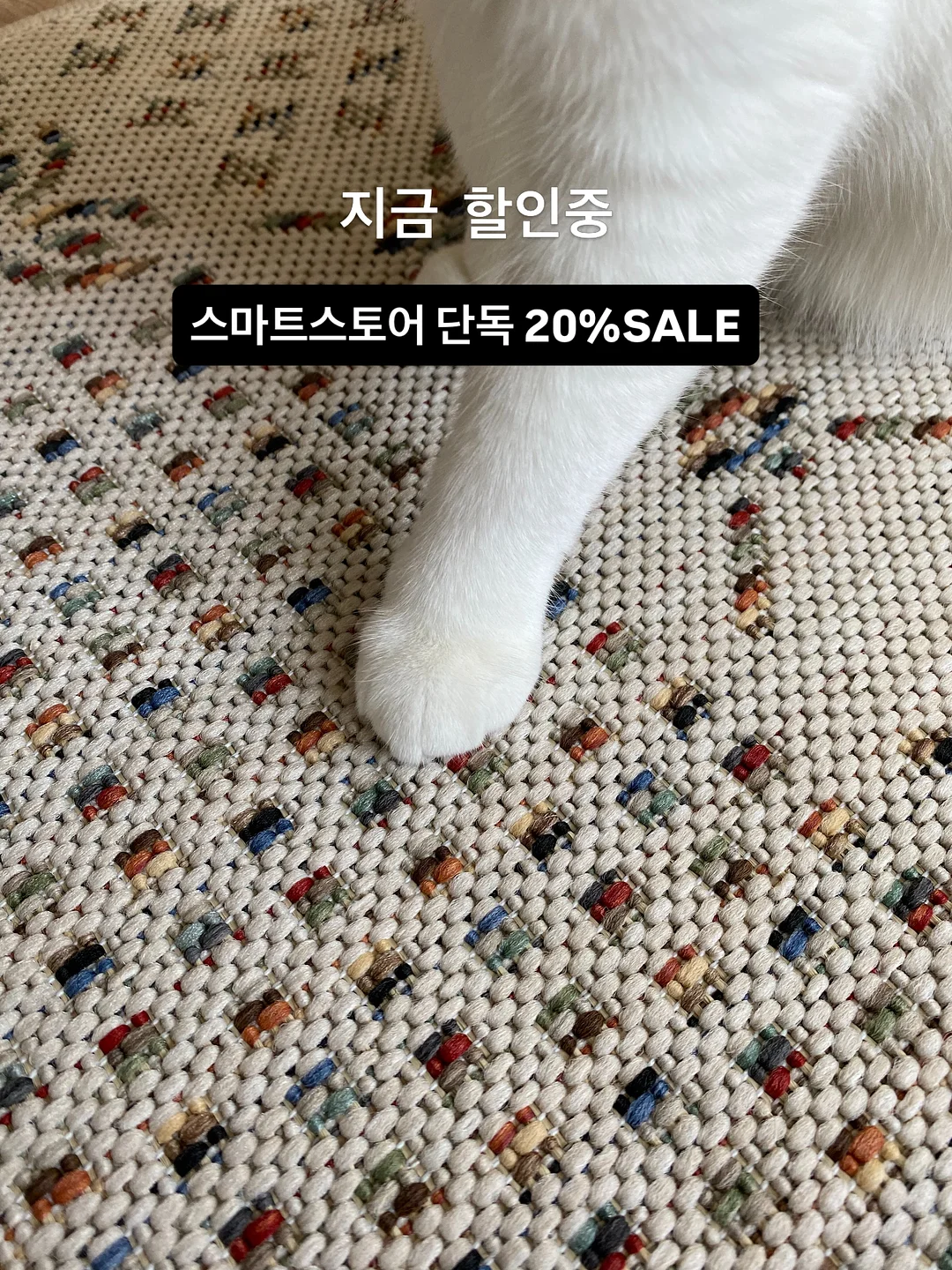 파자마 3종 세트 4