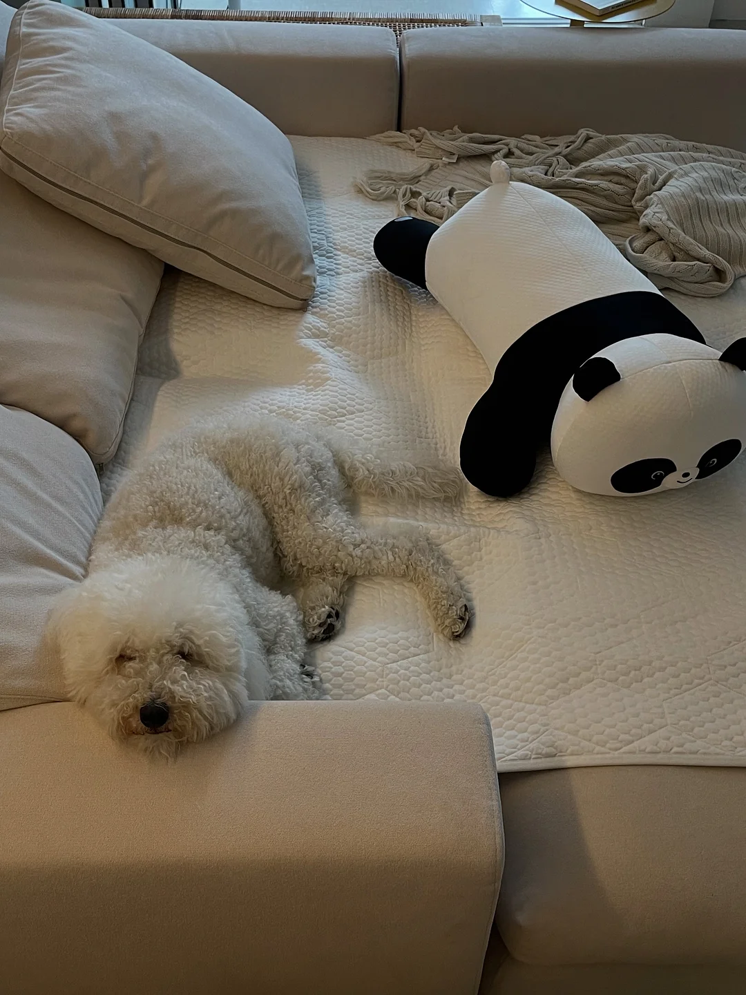 코칸 이다바시 우디향 디퓨저 14