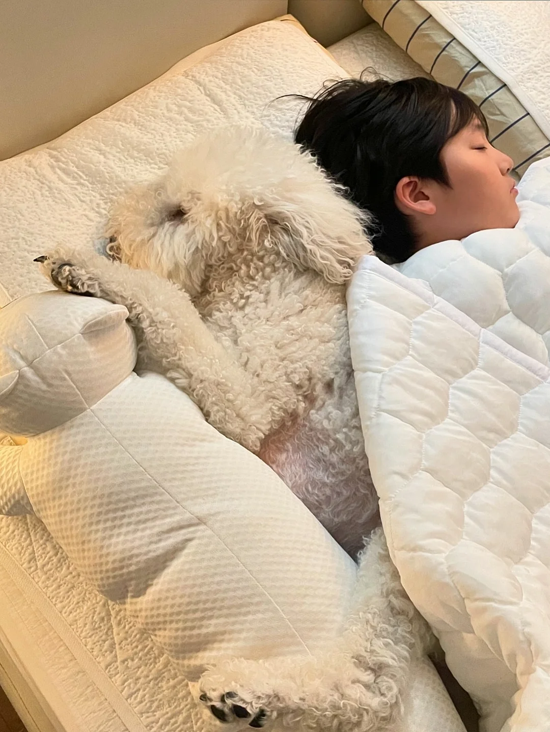 코칸 이다바시 우디향 디퓨저 15
