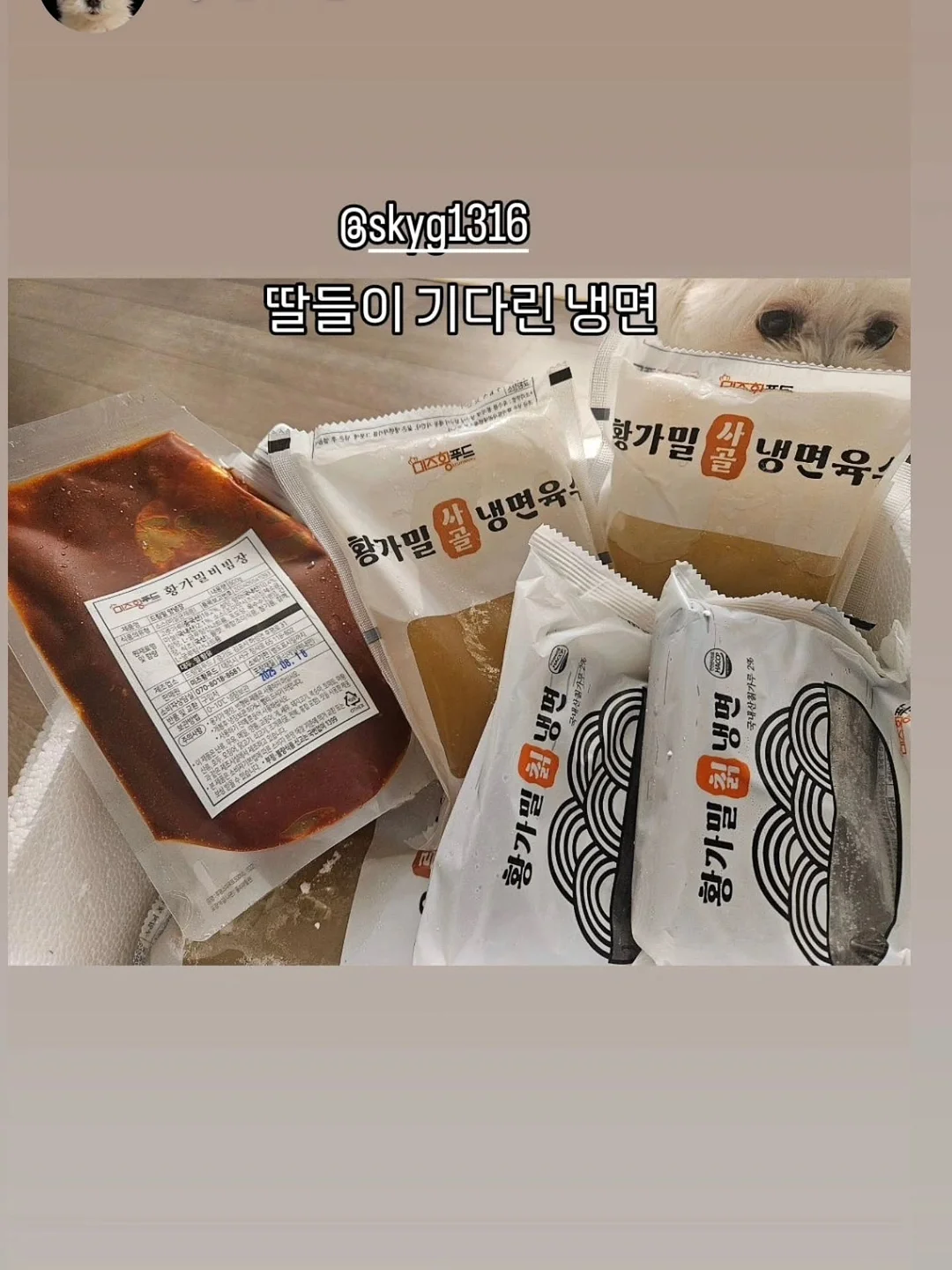 대형쓰레기 수거 서비스 13
