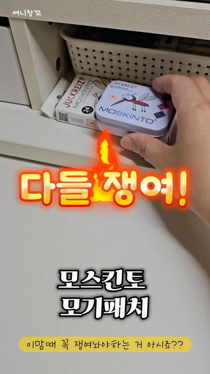 하트 모양 식물