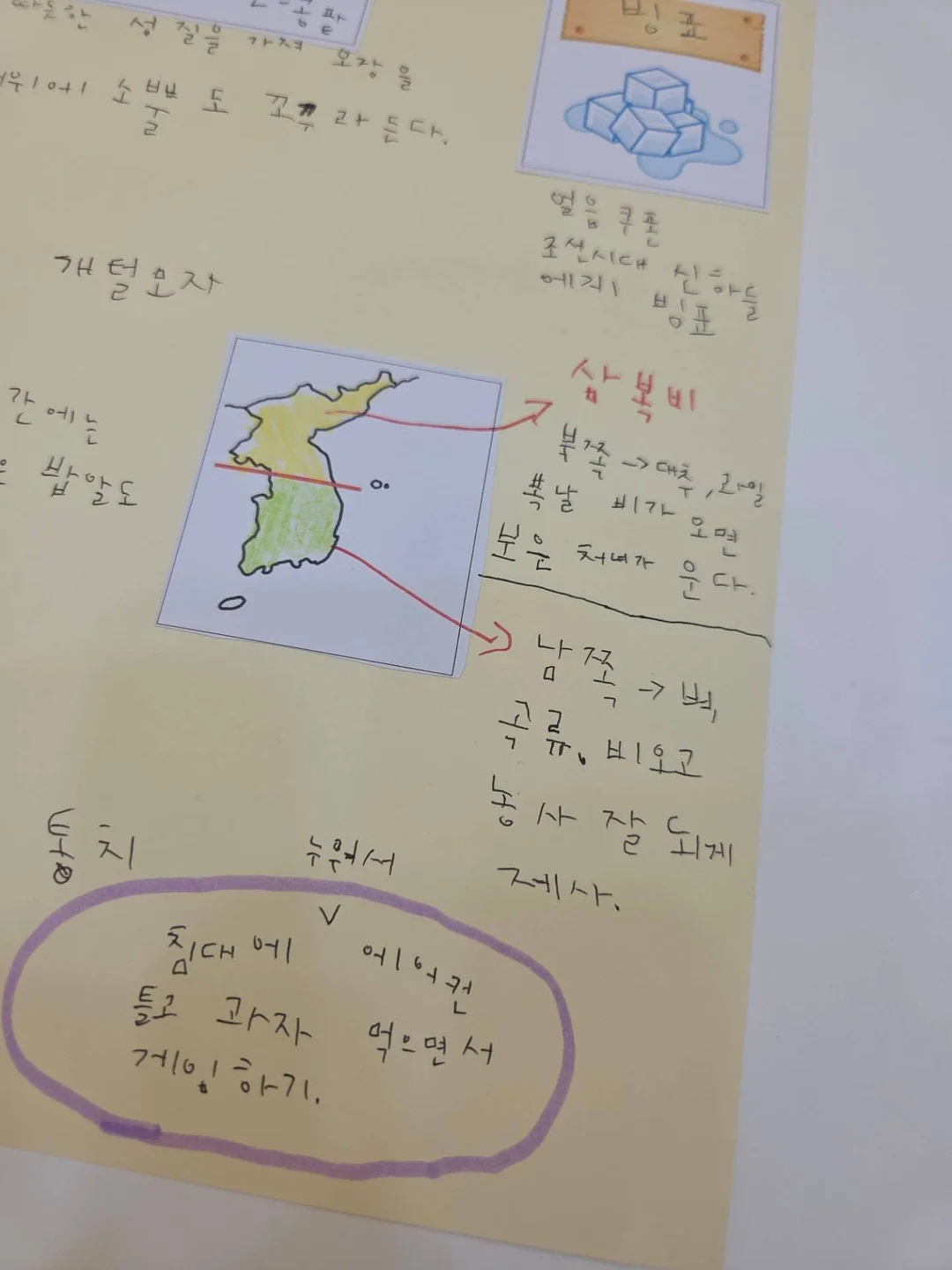 신발 탈취제 4