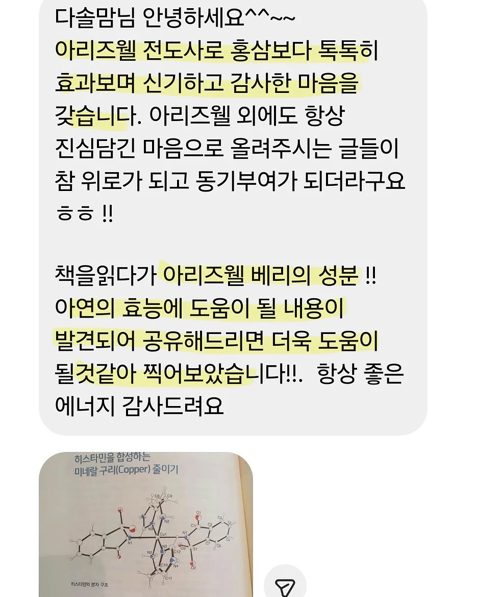 모나브 헤어롤빗 12