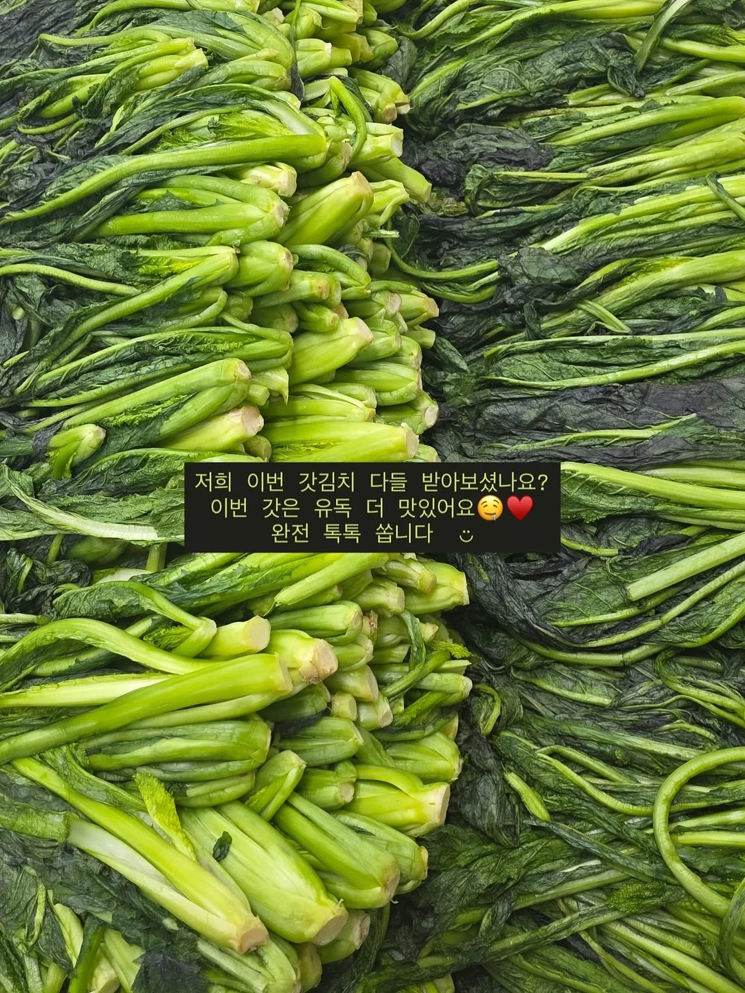 여름 반팔+9부바지 파자마