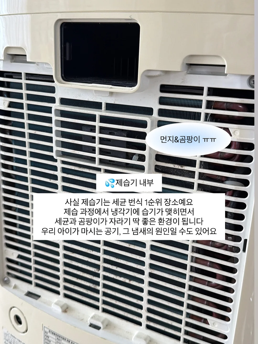 am 텀블러 3