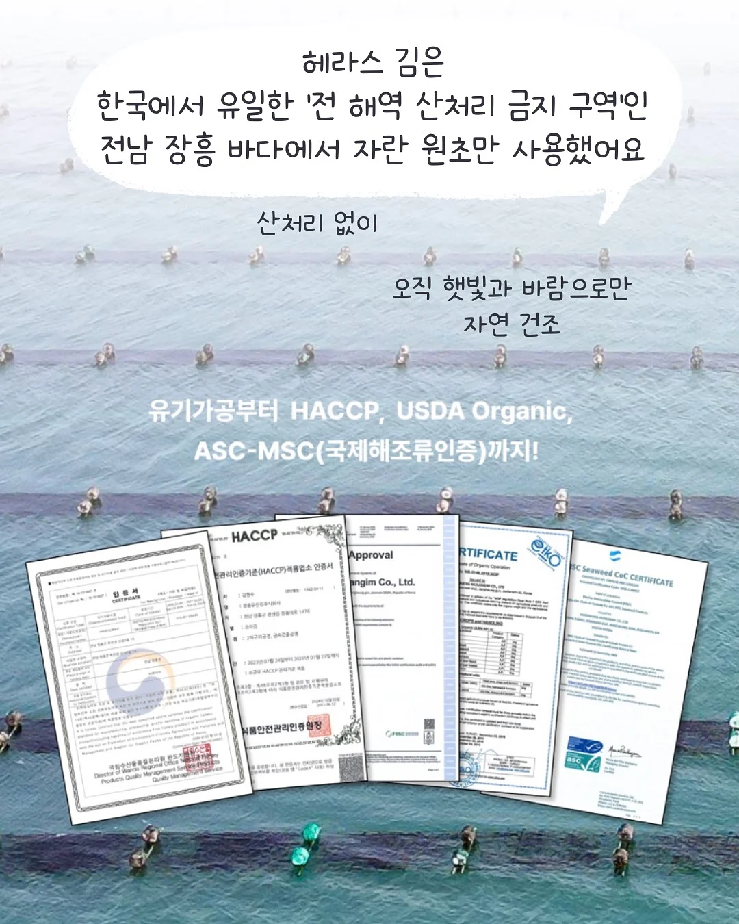주님, 보시기에 아름다우셨습니까 8