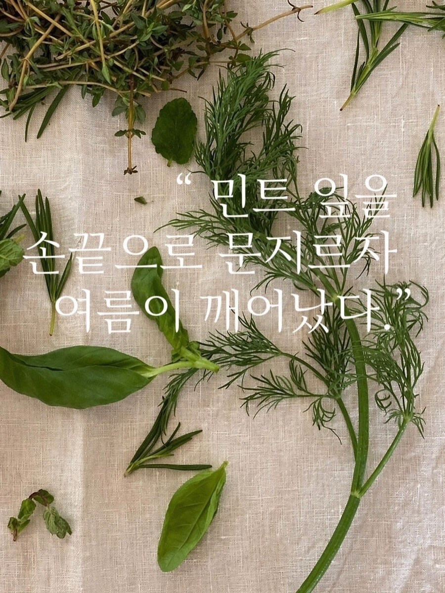 라바자임 2
