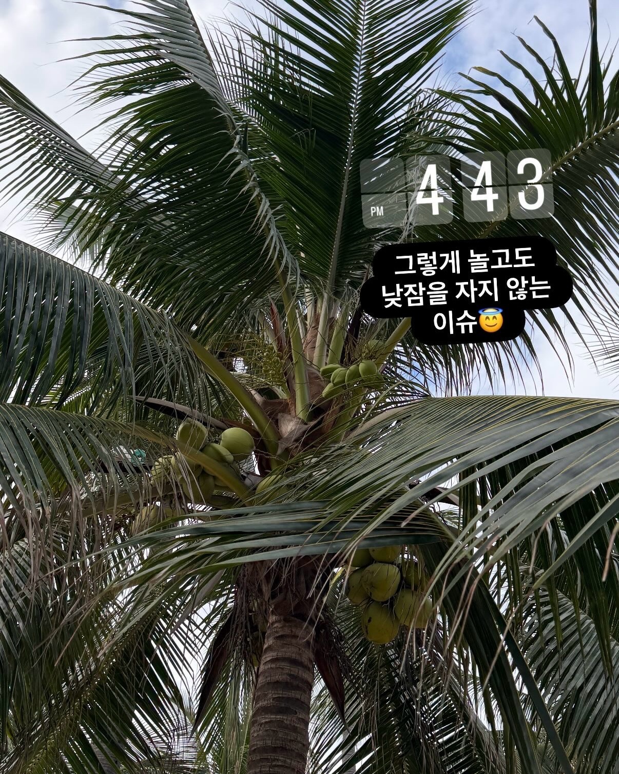 킬레이트 마그네슘 12