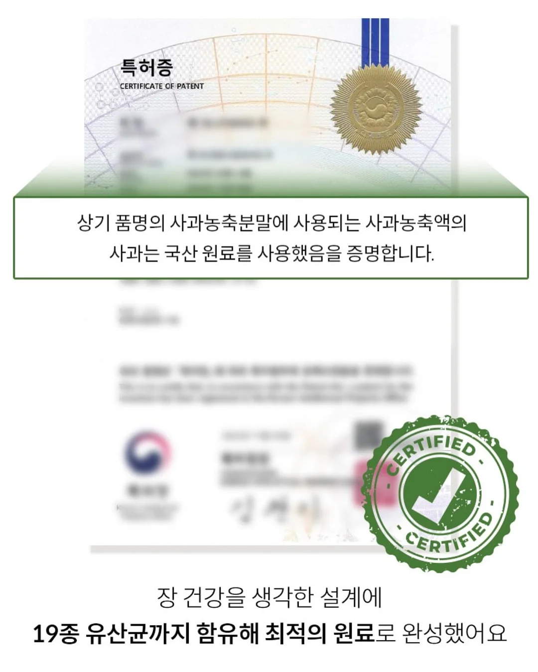전체상품 10