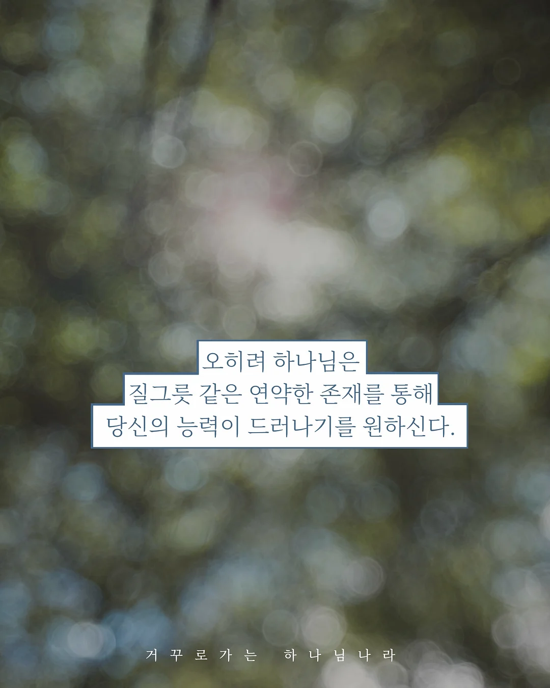 여름 슬랙스 6