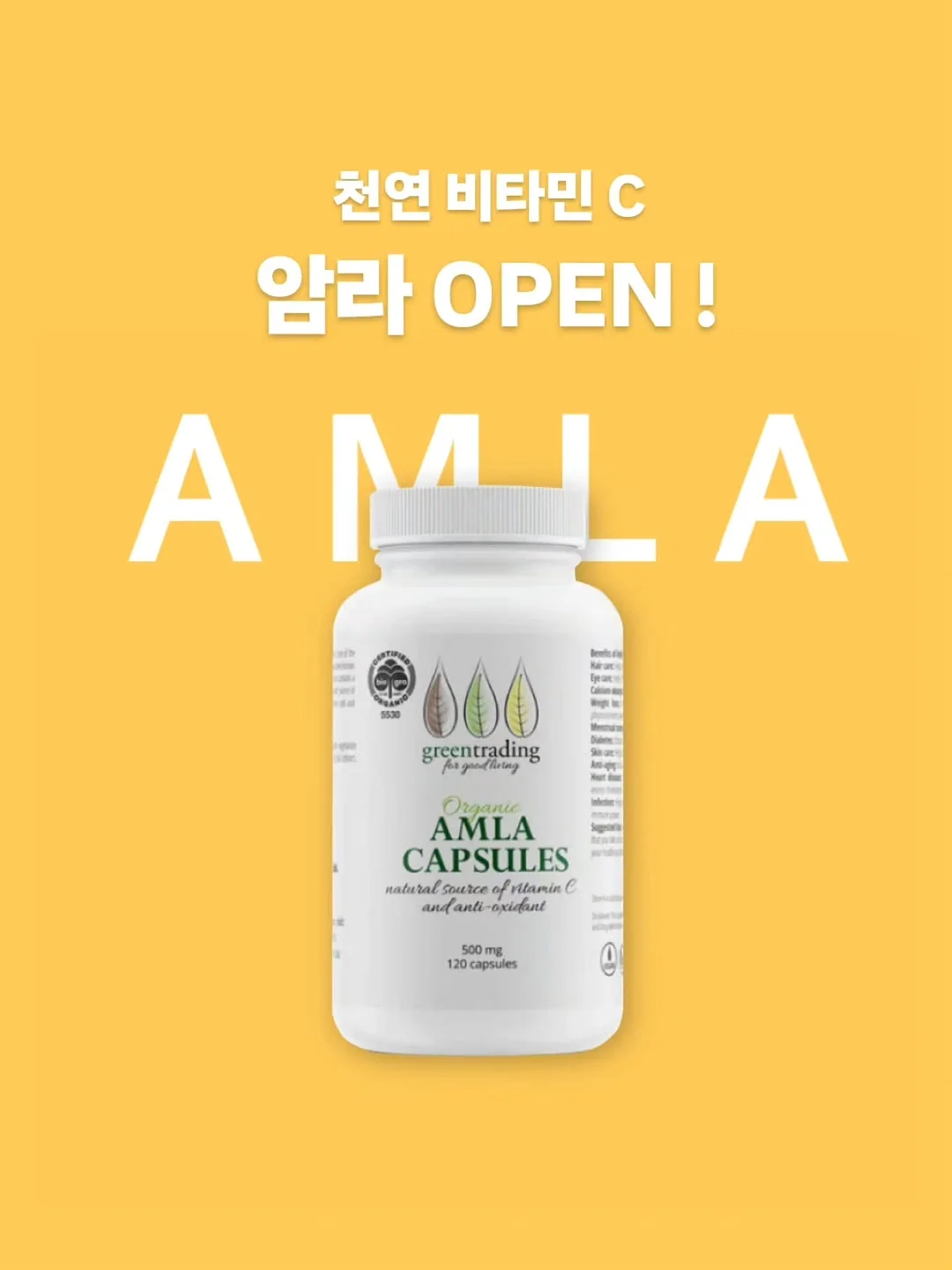 무점착 투명 시트지