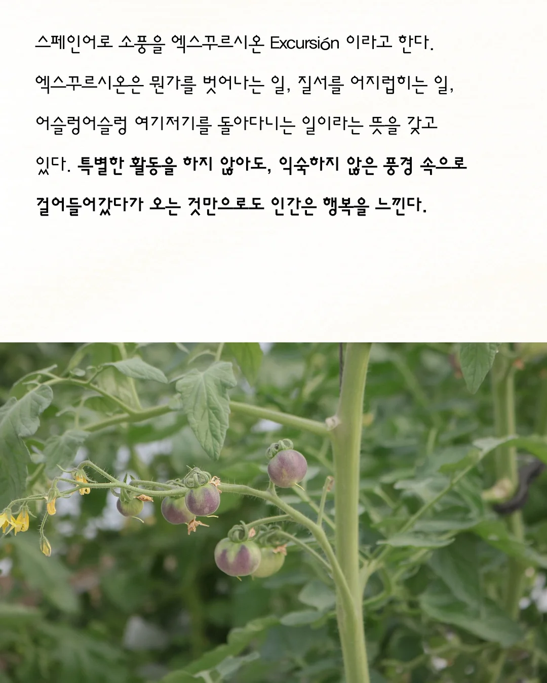 아이팜 빈백 아기소파 브라운 4