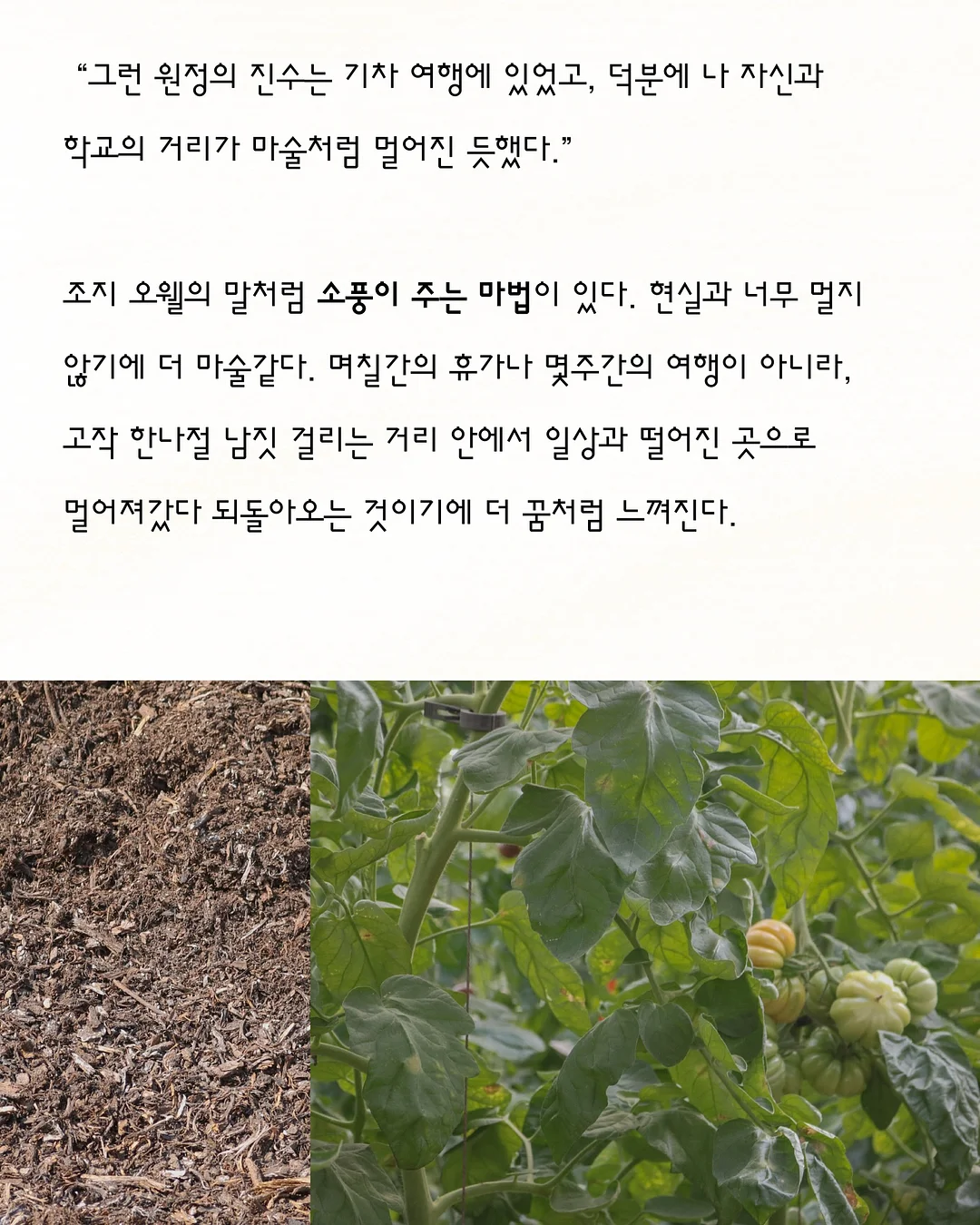 아이팜 빈백 아기소파 브라운 5