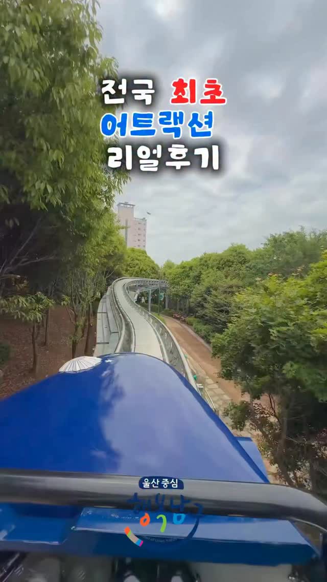 대파 보관 꿀팁