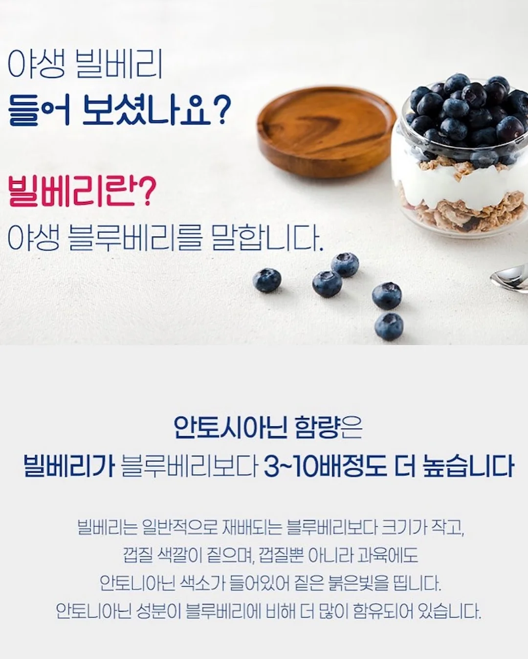 오하다 솔트 와 시카패드 7