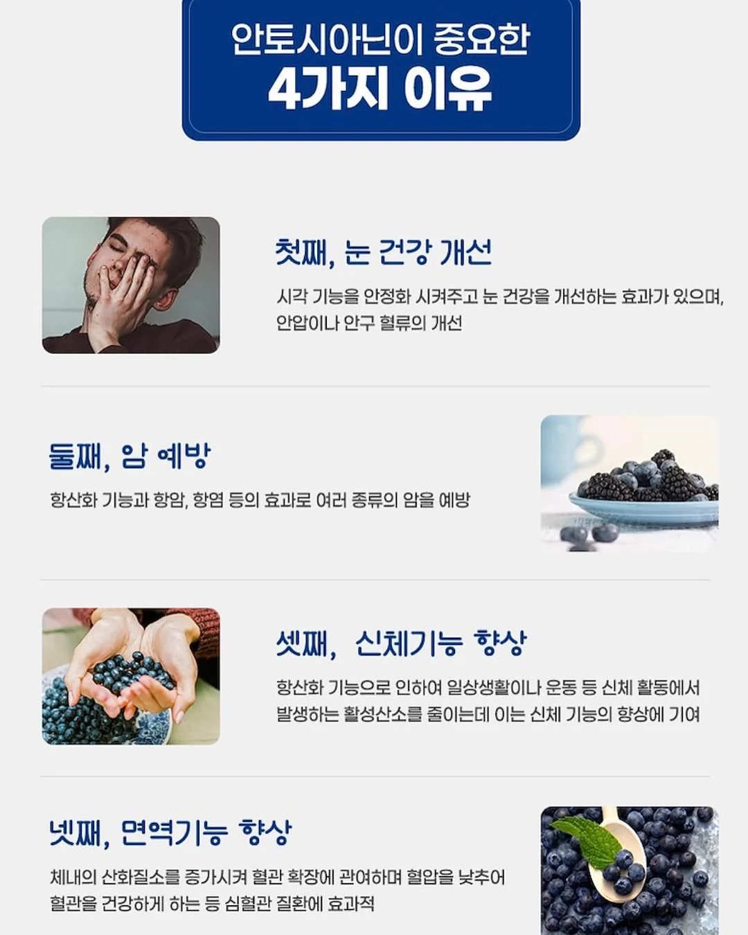 오하다 솔트 와 시카패드 9