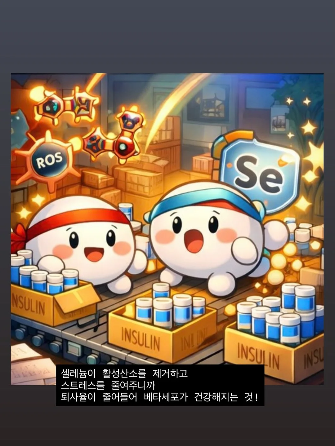 선물세트 5