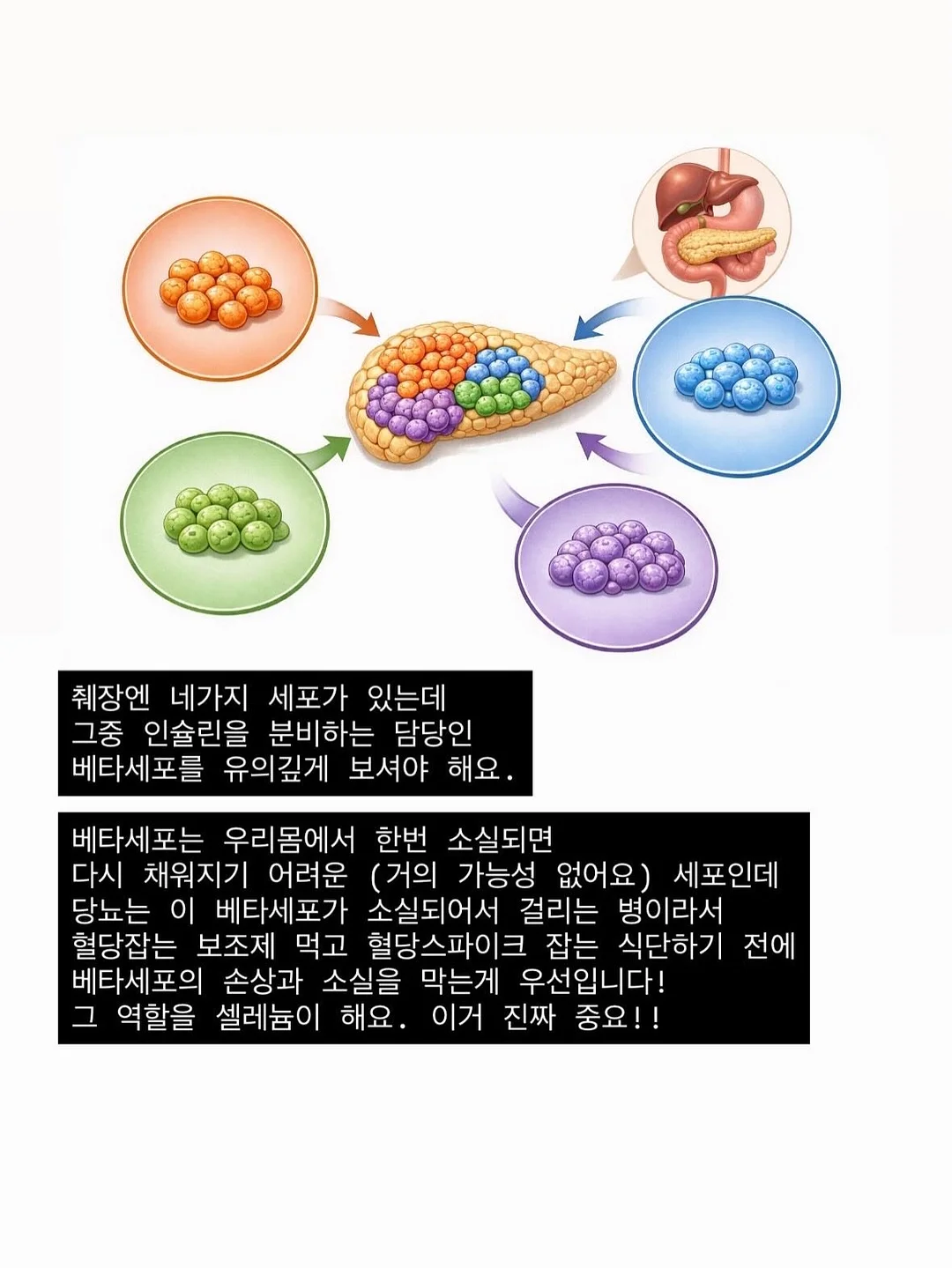 선물세트 6