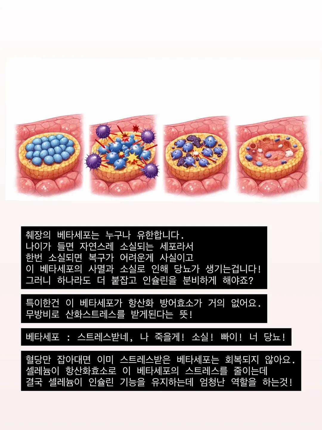 선물세트 7