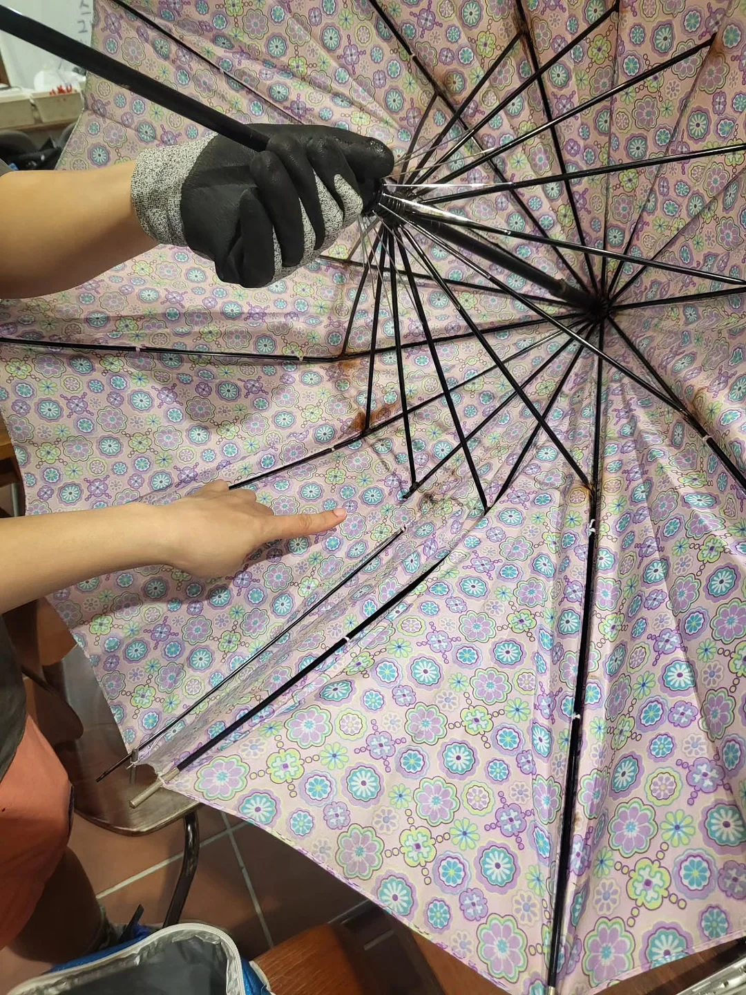쫄쫄이오징어 6