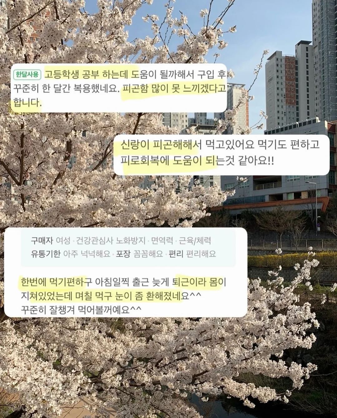 주니 컵 4