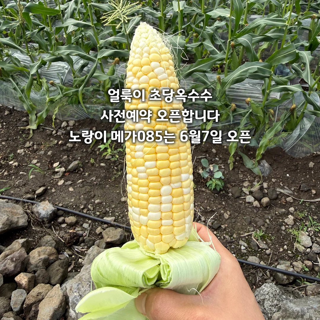 사료 모래 1