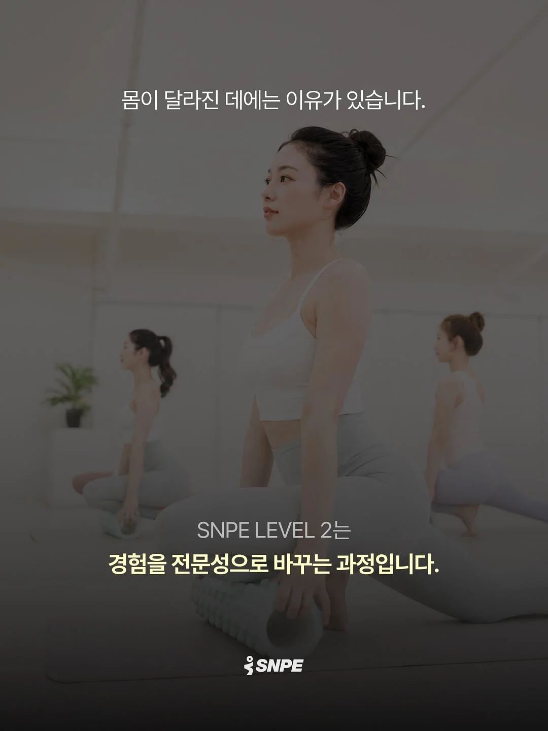 강아지 전용 에어컨방 3