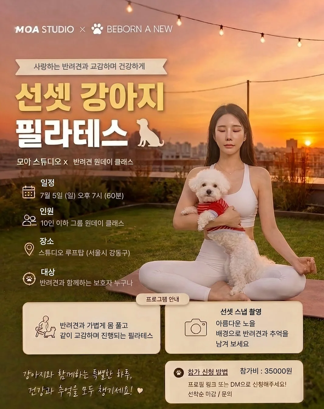 어른의 어휘 일력 365 1