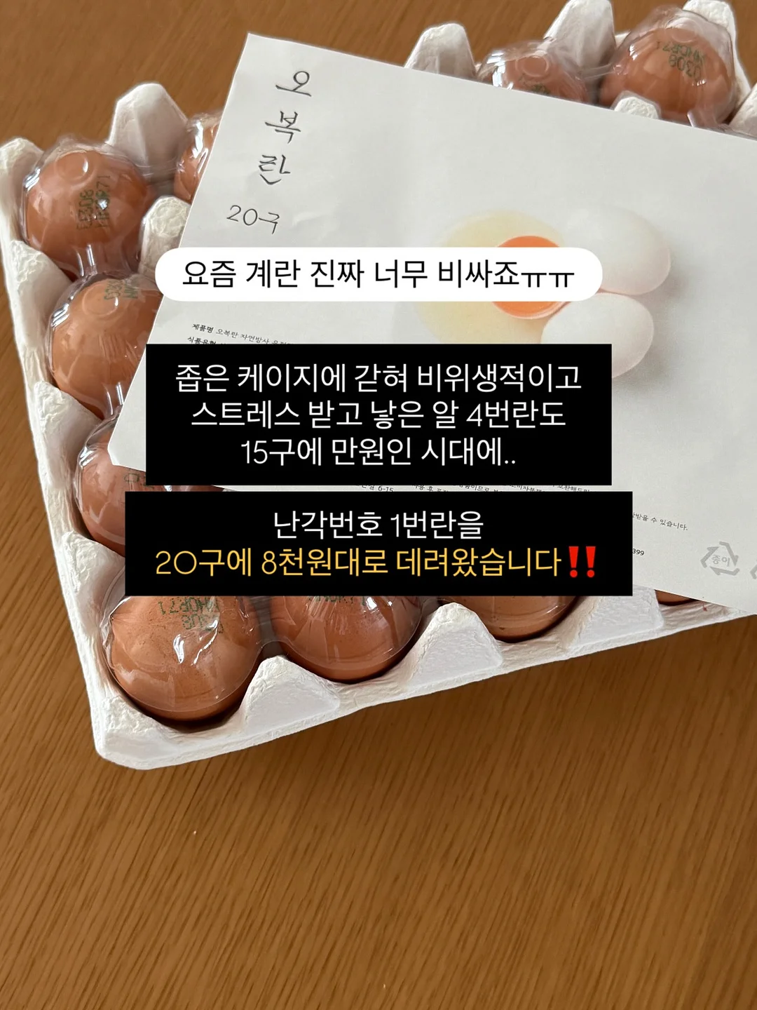 글로우레이스 2
