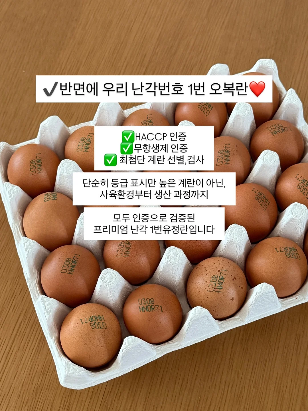 글로우레이스 7
