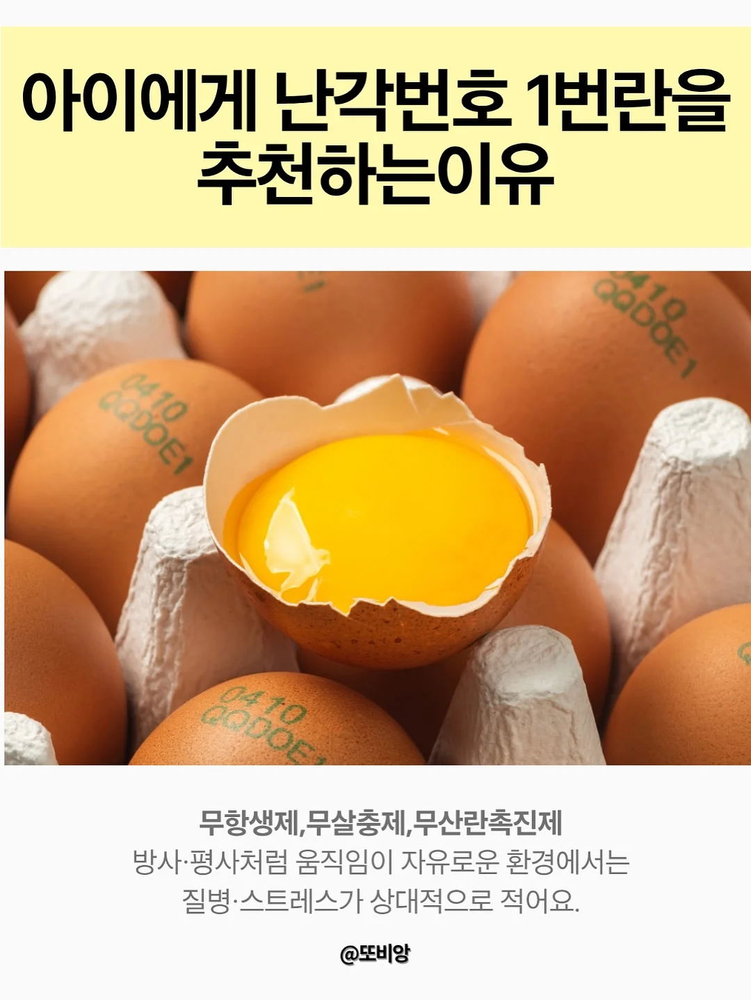 글로우레이스 9
