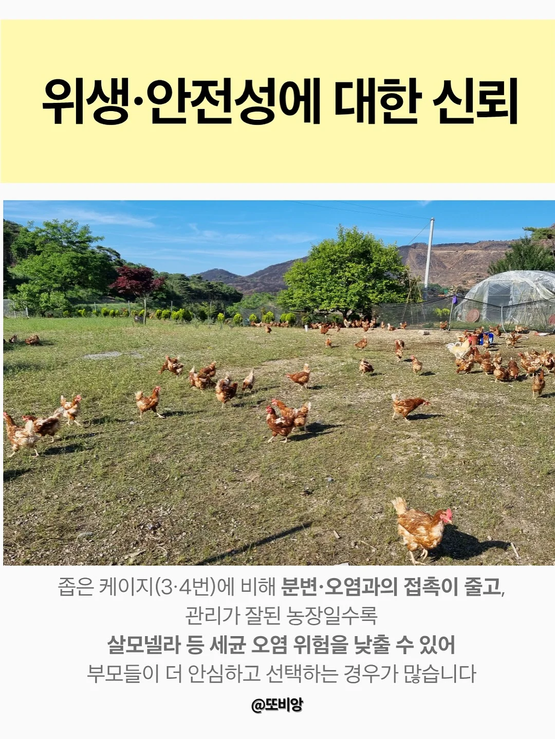 글로우레이스 10