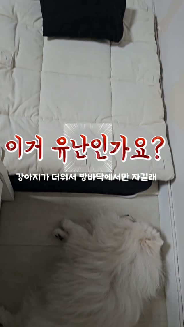 미소다 유아반찬