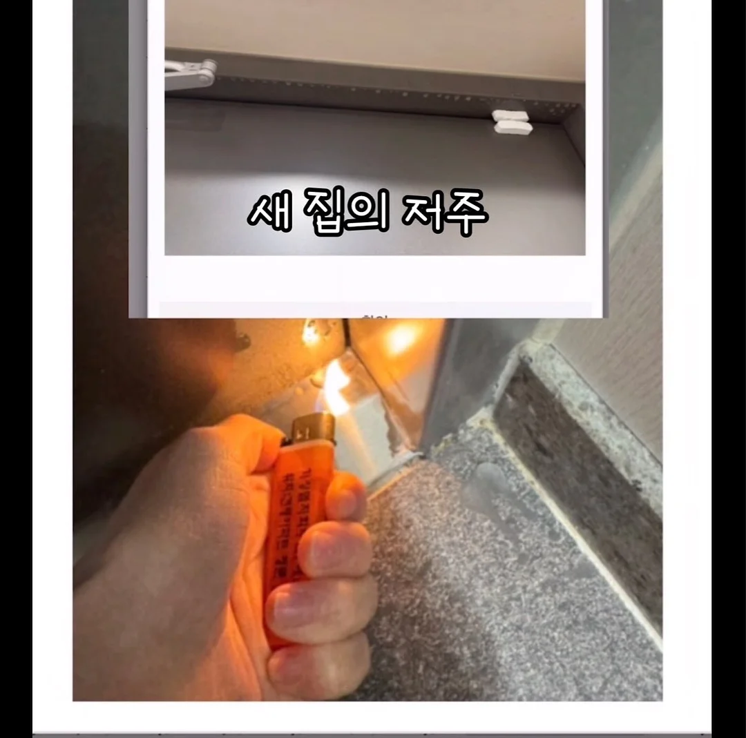 블랙플라워 보냉백 6