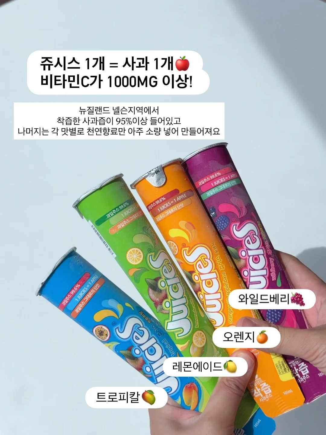 플리츠만두백 실버 4
