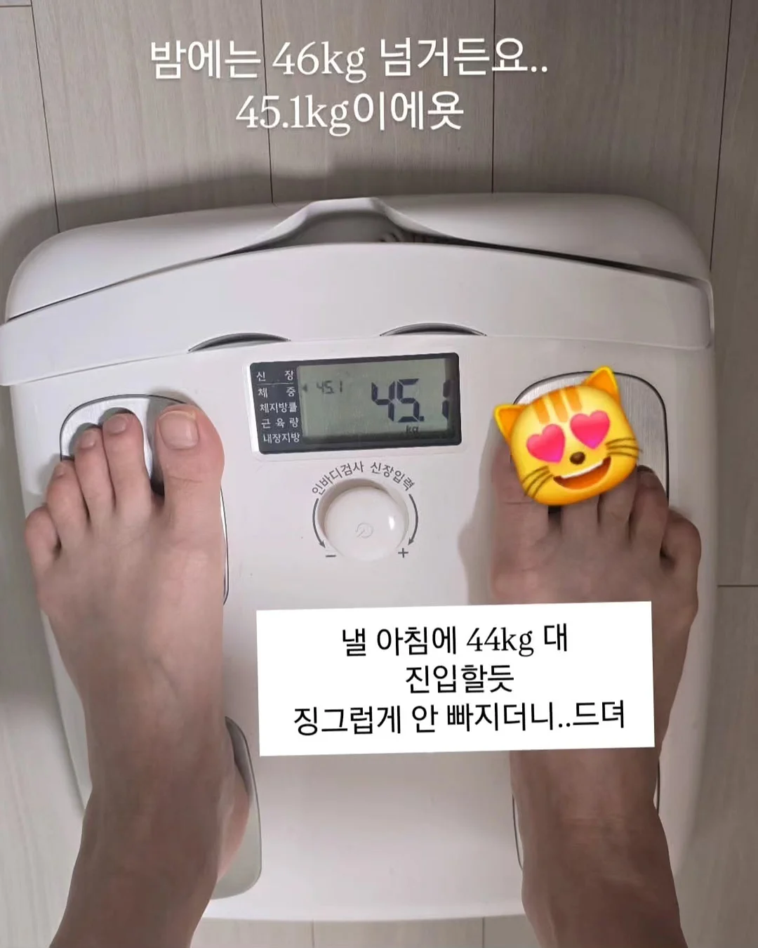 브이넥 폭스 카인 니트 2