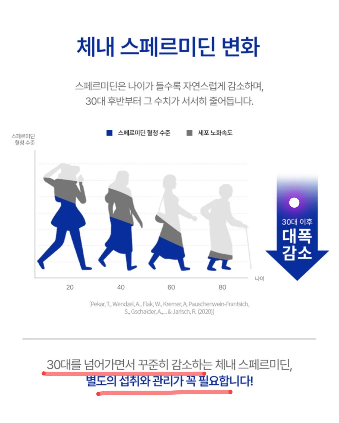 여성용 시계 5