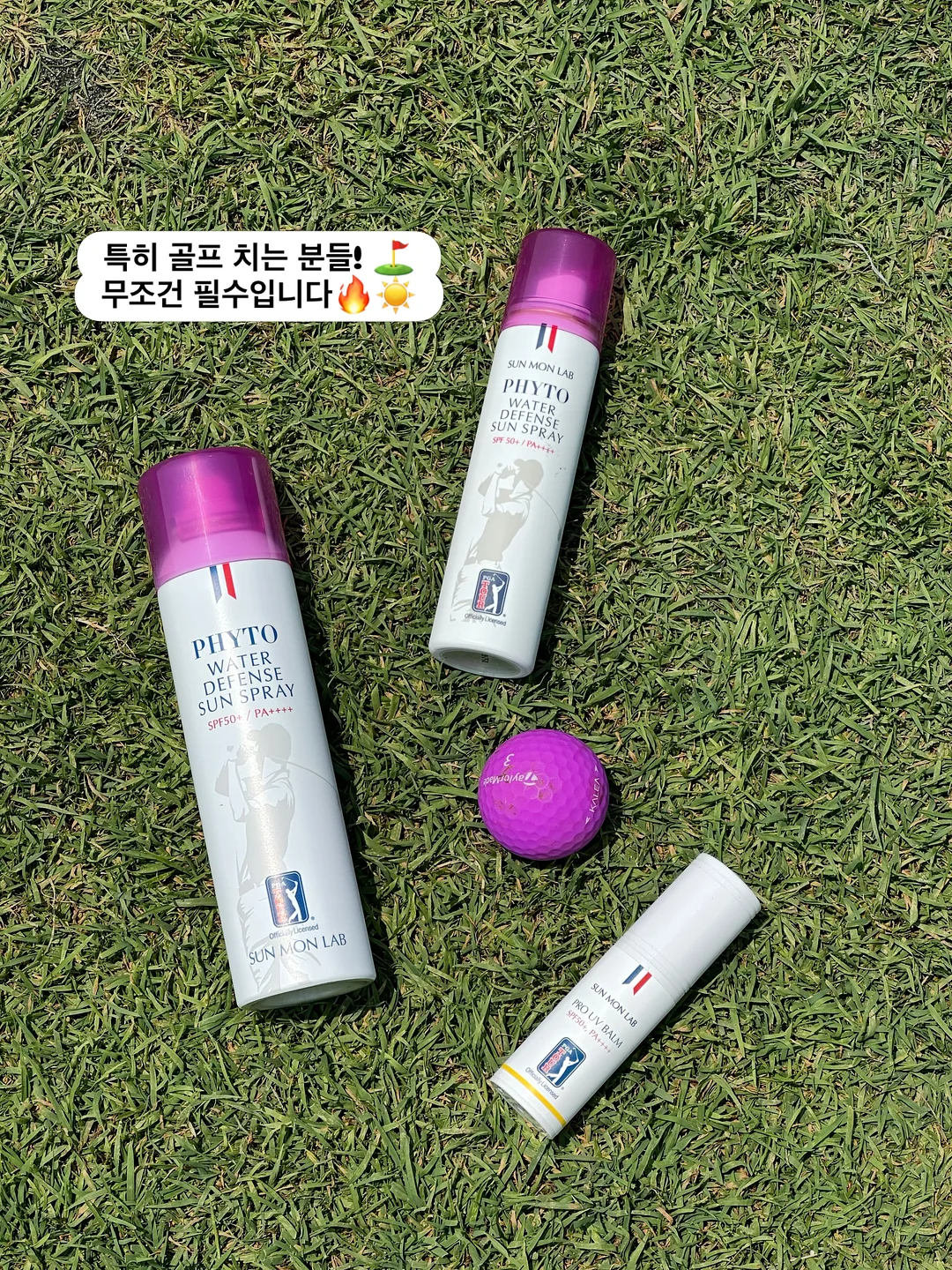 바비티 12