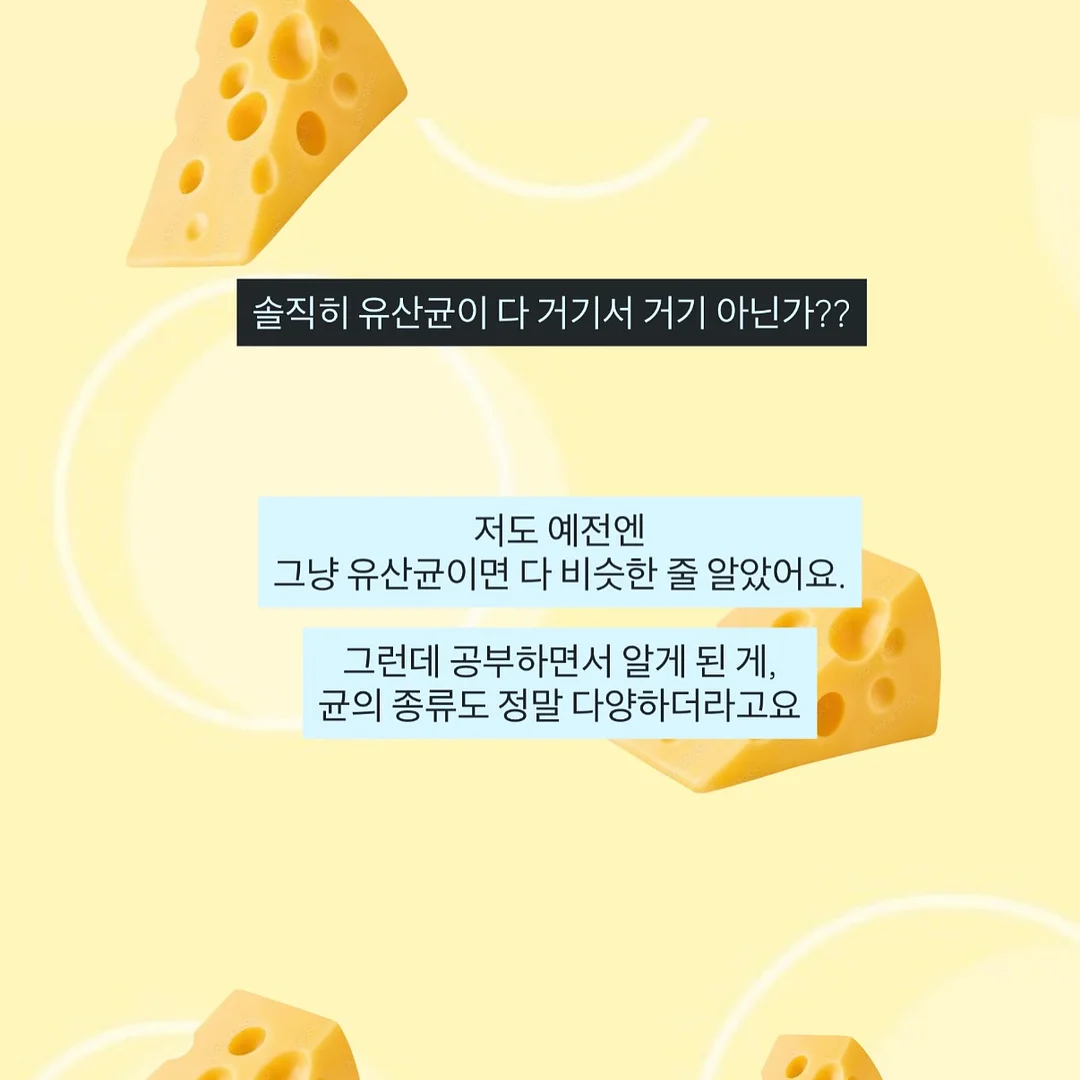 단백질 쉐이크 2