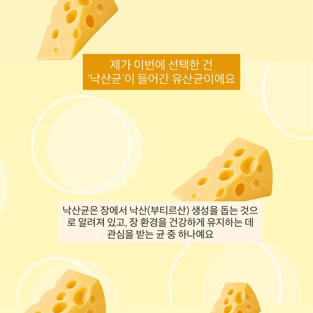 단백질 쉐이크 3