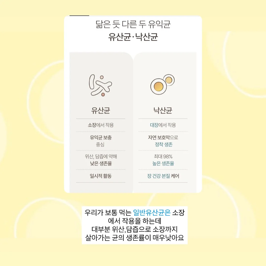 단백질 쉐이크 4