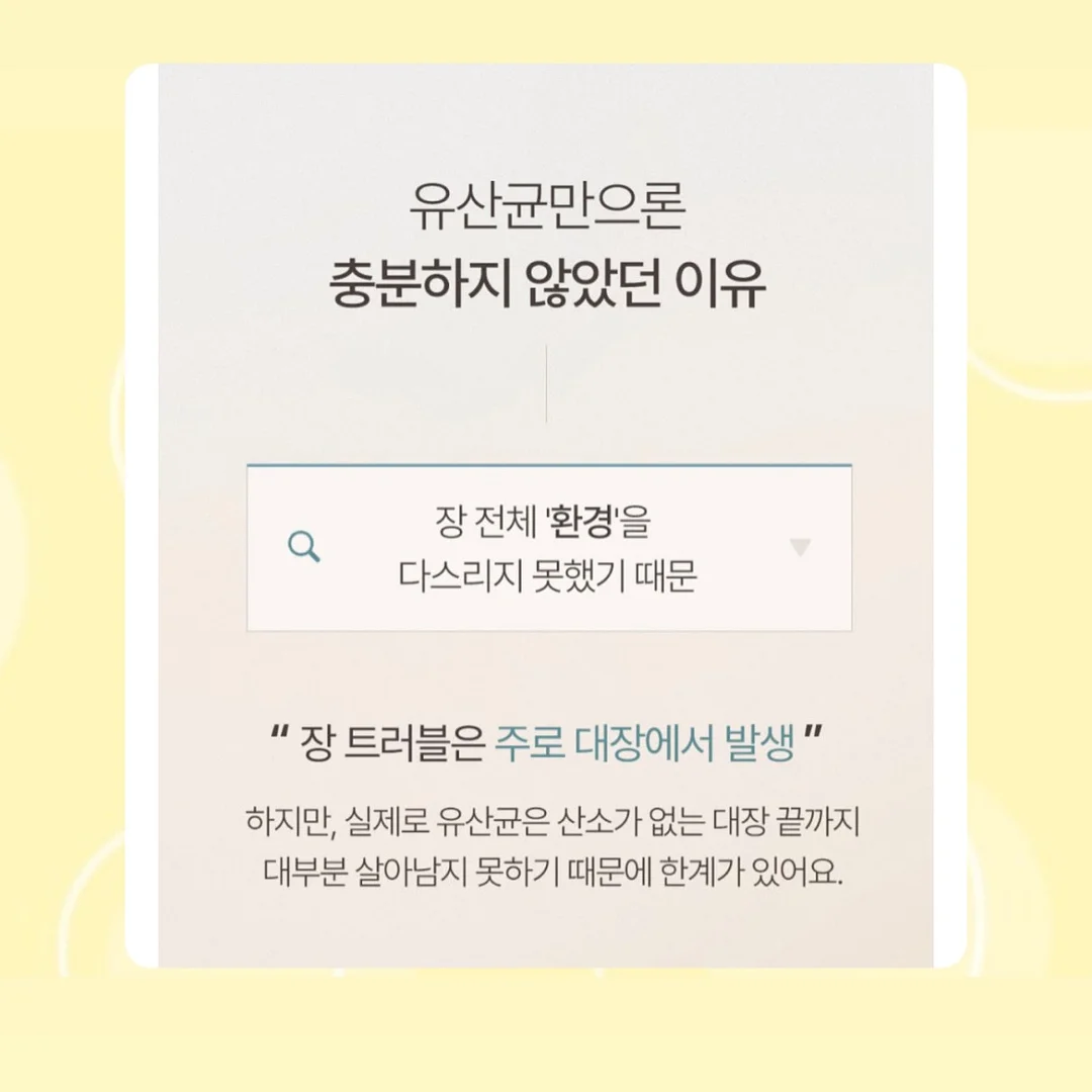 단백질 쉐이크 7