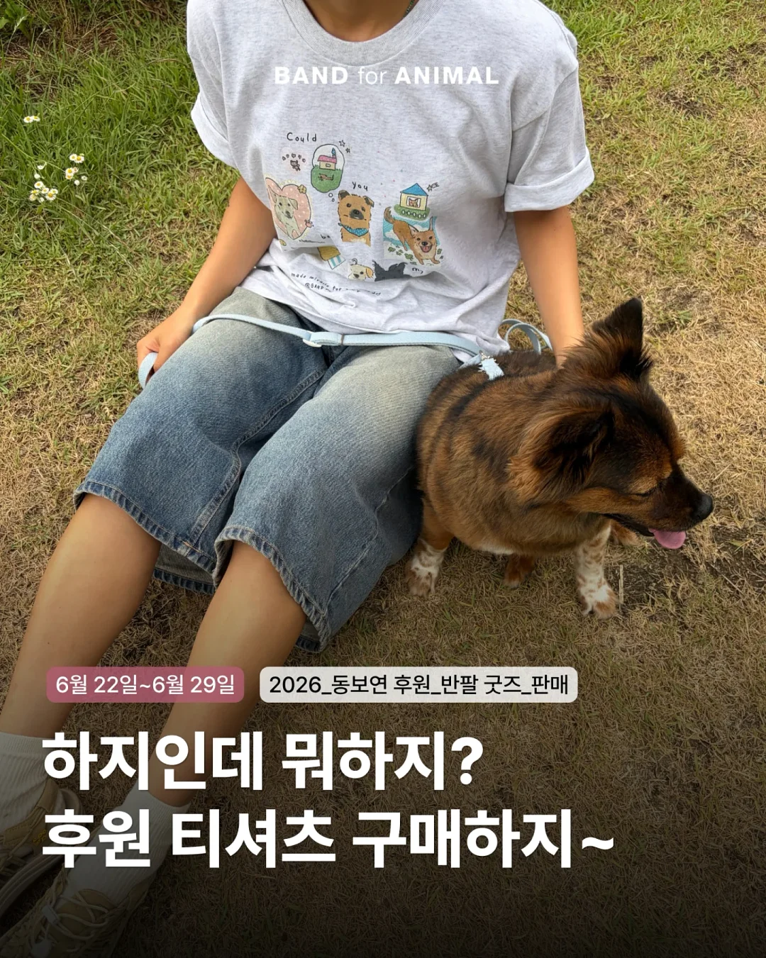 알텐바흐 티타늄 스텐팬 1