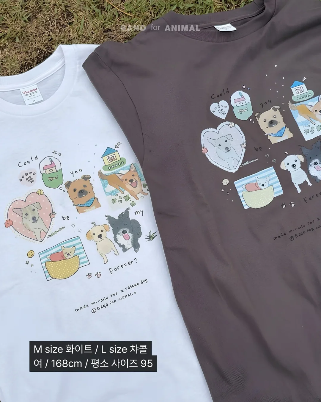 알텐바흐 티타늄 스텐팬 11