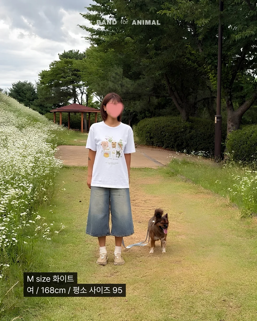알텐바흐 티타늄 스텐팬 13