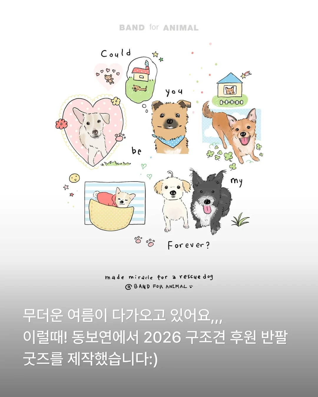 알텐바흐 티타늄 스텐팬 2