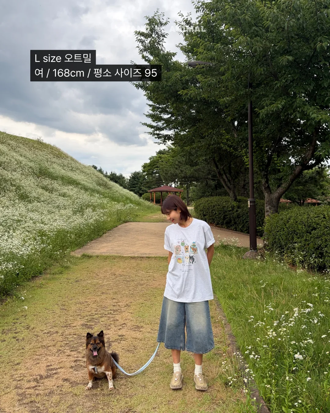 알텐바흐 티타늄 스텐팬 5