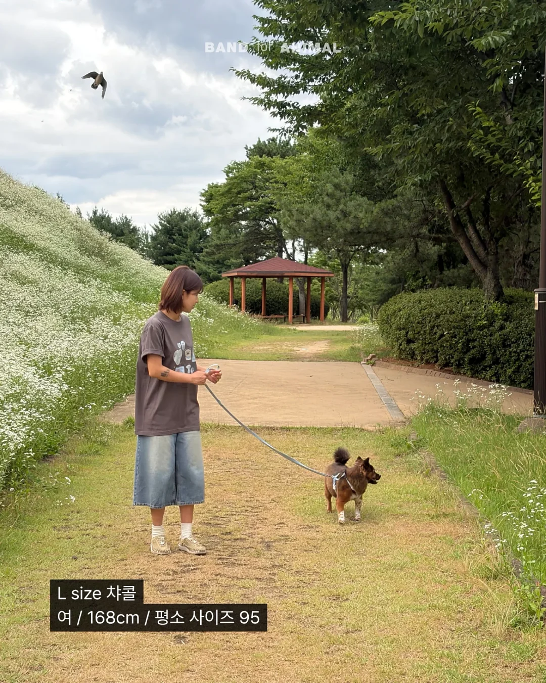 알텐바흐 티타늄 스텐팬 8